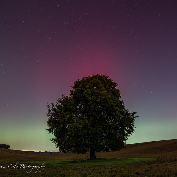 Northern Lights/Aurora - Green and Pink