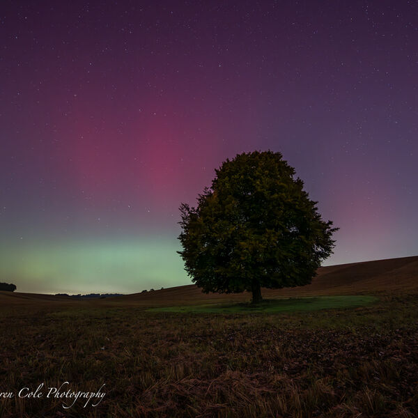 Northern Lights/Aurora - Green and Pink
