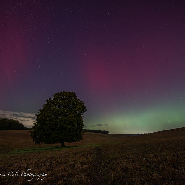 Northern Lights/Aurora - Green and Pink