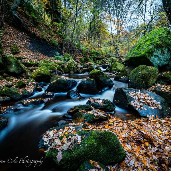 Padley Gorge Autumn Colour