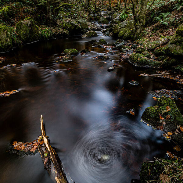 Padley Gorge Autumn Colour