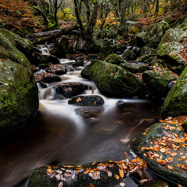 Padley Gorge Autumn Colour
