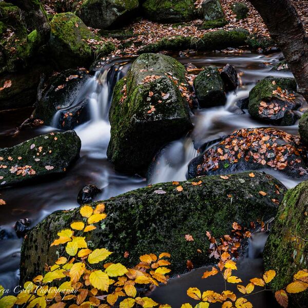 Padley Gorge Autumn Colour