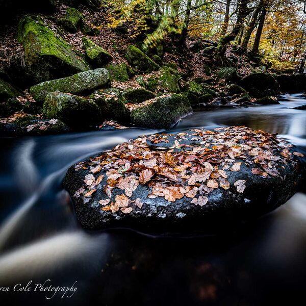 Padley Gorge Autumn Colour