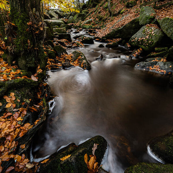 Padley Gorge Autumn Colour