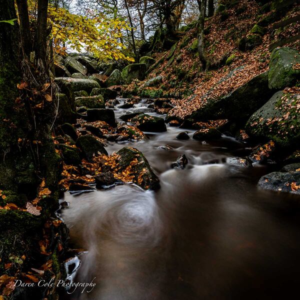 Padley Gorge Autumn Colour