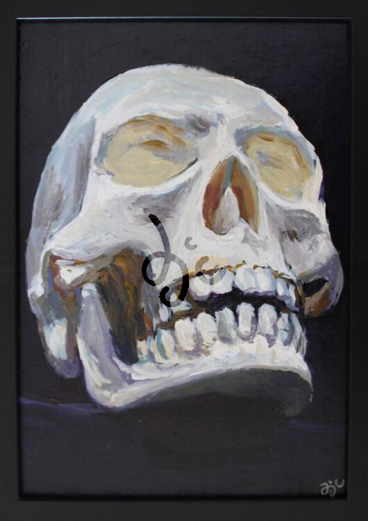 painting of A Skull in acrylics