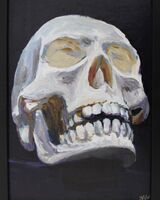painting of A Skull in acrylics