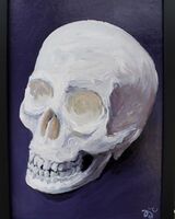 painting of a skull in acrylics