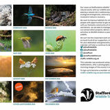 Staffordshire Wildlife Trust Calendar 2026