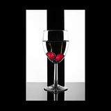 I didn't have a Cocktail Glass