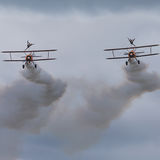 Wing Walkers