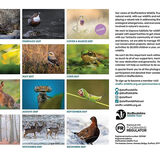 Staffordshire Wildlife Trust Calendar 2027 September