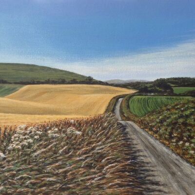 A country walk in Sussex