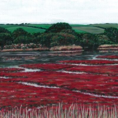 Purple glasswort on Cuckmere river