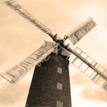 MG 3791sepia