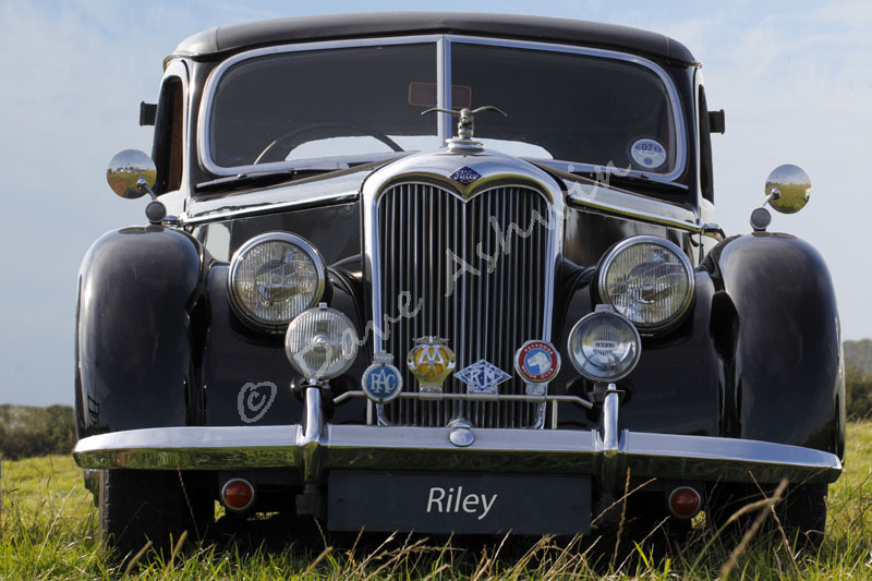 Q8A3239 final riley