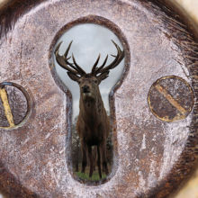 deer through a keyhole