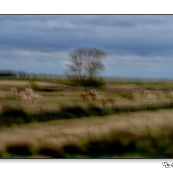 Farm Land - Thornham Harbour