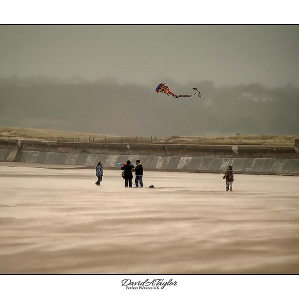 Flying a Kite on the Beach