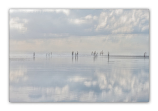 Intentional Camera Movement (ICM)