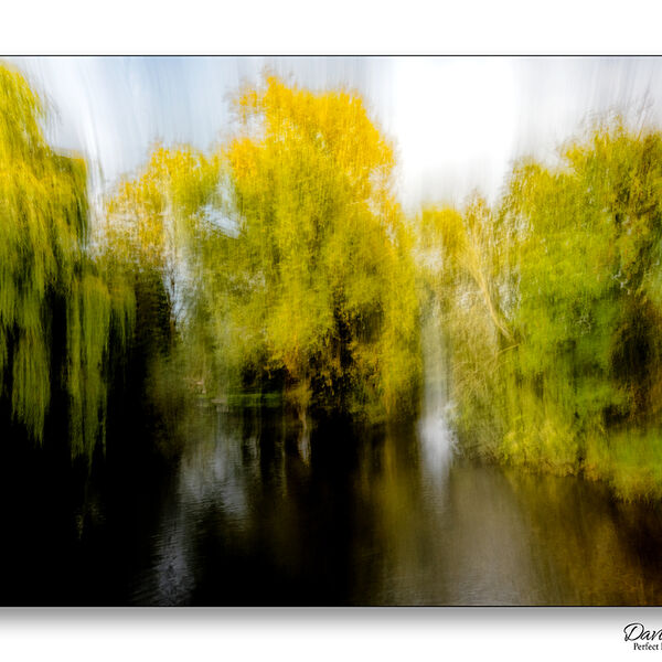 The River Wensum - Norfolk