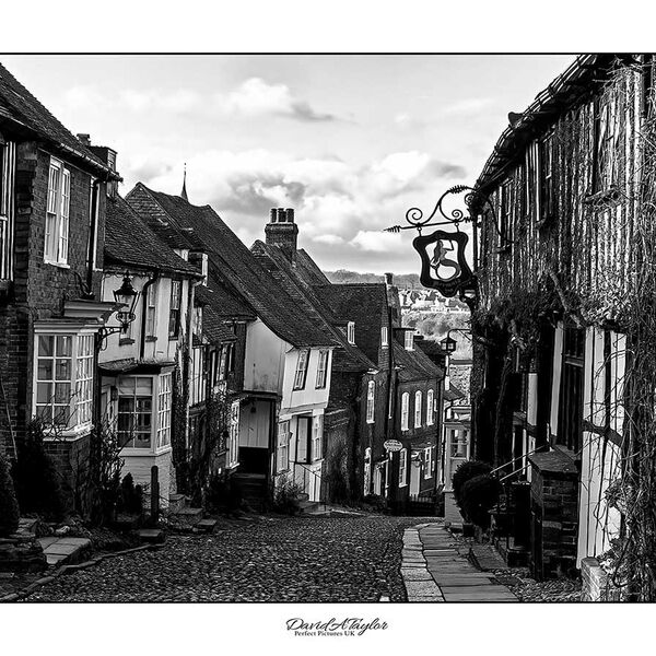 Rye Sussex