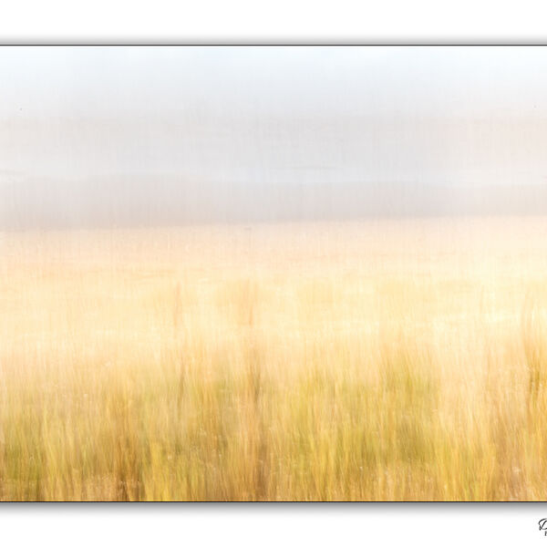 Sand Dunes Snettisham