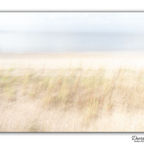 Sand Dunes Snettisham