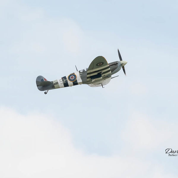 Spitfire