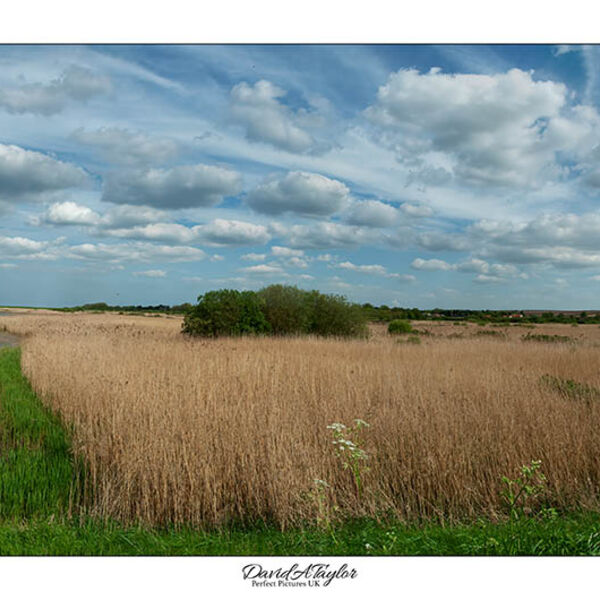 Titchwell Marshes