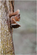 20120225- MG 3952-Edit