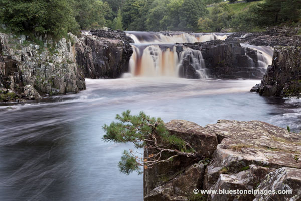 01M-2854 The River Tees at Low Force Bowlees Upper Teesdale County Durham UK