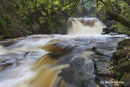 01M-4913 Waterfall on Bowlees Beck in Flood Conditions Bowlees Teesdale County Durham
