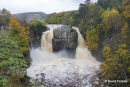 01M-5541 Autumn Trees with High Force in Flood Conditions Teesdale County Durham UK