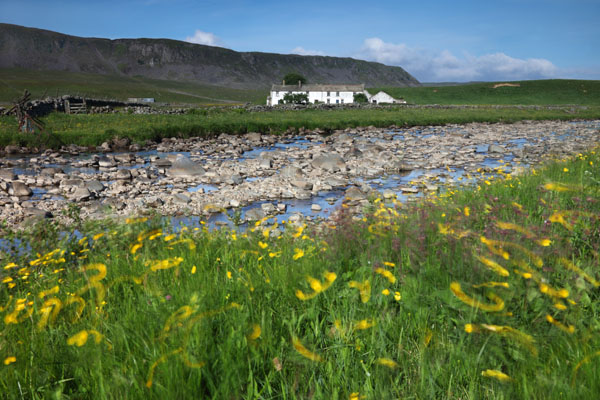 02D-4912 Cronkley Fell and Wheysike House Across Harwood Beck With Swirling Buttercups from the Pennine Way Footpath Upper Teesdale