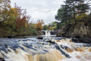 02M-9113 Low Force on the River Tees in Autumn Upper Teesdale, County Durham U