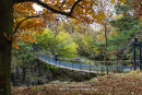 Walker Enjoying the View From Wynch Bridge in Autumn, Upper Teesdale County Durham England UK