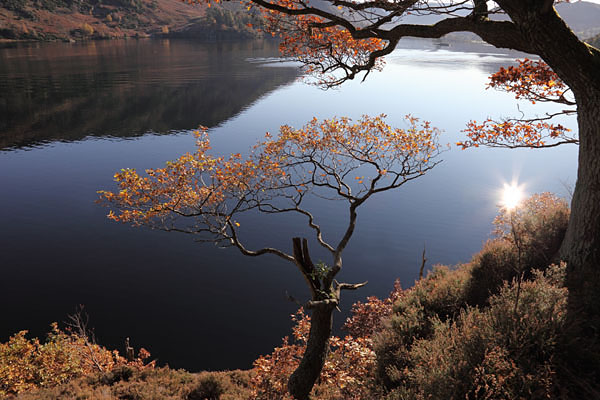 04D-0404 Autumn Trees Ullswater Lake District Cumbria UK