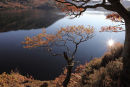 04D-0404 Autumn Trees Ullswater Lake District Cumbria UK