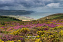 04M-7690 Porlock Bay from Bossington Hill, Exmoor, Somerset, UK
