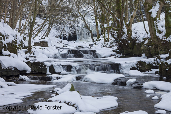 05D-0438 Bowlees Beck with the Waterfall in front of Gibson's Cave (Summerhill Force) Frozen Bowlees Upper Teesdale County Durham UK