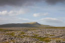 05D-4765 Whernside from White Scars on the Lower Slopes of Ingleborough Yorkshire Dales UK