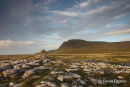 05D-5437 Ingleborough From White Scars in Late Evening Light Yorkshire Dales National Park UK