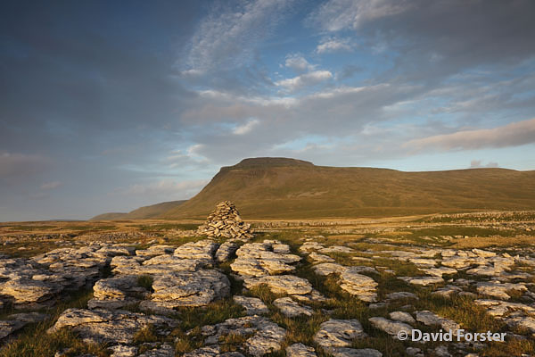 05D-5448 Ingleborough From White Scars in Late Evening Light Yorkshire Dales National Park UK