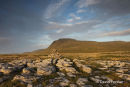 05D-5448 Ingleborough From White Scars in Late Evening Light Yorkshire Dales National Park UK