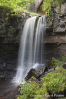 06D-2907 Ashgill Force Near Alston in Summer North Pennines Cumbria UK