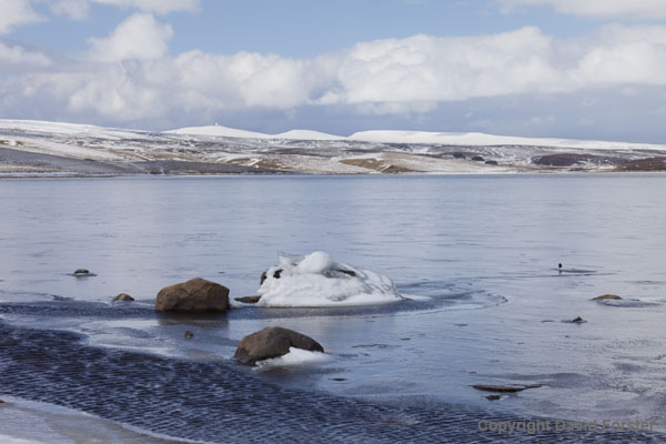 06D-4484 The Snow Covered High Pennine Mountains of Cross Fell Little Dun Fell and Great Dun Fell Viewed Across a Frozen Cow Green Reservoir Upper Teesdale