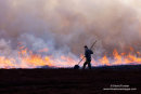 06D-6350 Heather Burning Teesdale County Durham UK