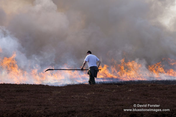 06D-6362 Gamekeeper Controlling Heather Burning in Upper Teesdale County Durham